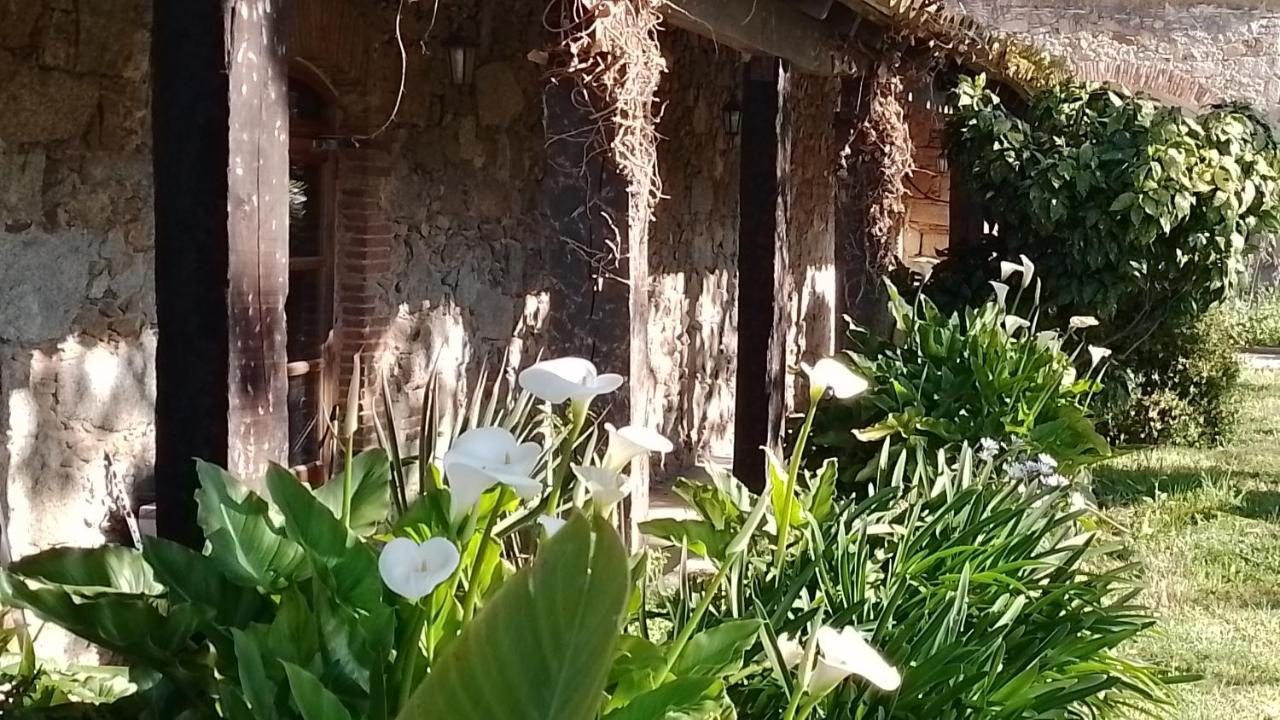 Casa Rural El Refugi Platja D'Aro 4 Romanyá de la Selva Zewnętrze zdjęcie